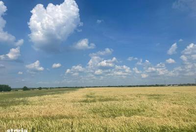 Teren de 954 mp, în Fundeni - 1