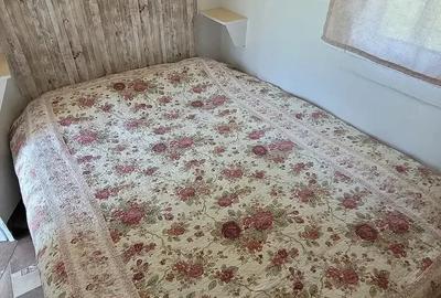 Casă cu Teren 3400 Mp în Checea - 9