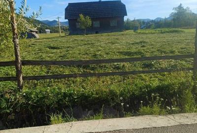Spațiu comercial, în Poiana Negrii