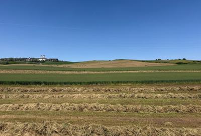 Teren de 1455 mp, în Stâna de Mureș - 2