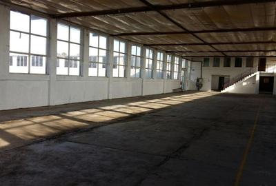 Spațiu industrial, de 680 mp, în Anda - 4
