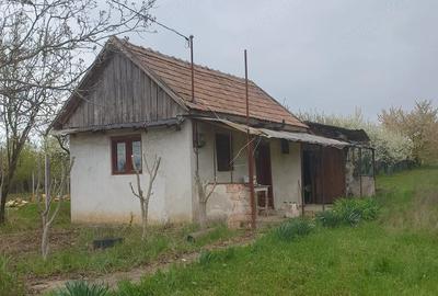 Teren de 7200 mp, în Miersig - 3