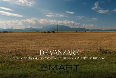 Teren agricol de 47000 mp, în Primăverii - 1