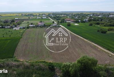 Teren de 10400 mp, în Dascălu - 1