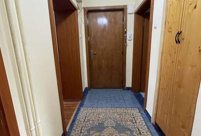 Apartament cu 2 camere decomandat, mobilat în Șagului - 20