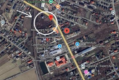 Teren Construcții intravilan de 4818 mp, în Gherăiești - 4