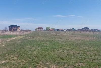 Teren de 590 mp, în Șag - 4