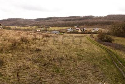 Teren de 3444 mp, în Betfia - 4