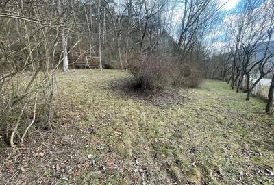 Casă cu Teren 500 Mp în Central - 3