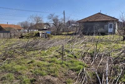 Casă cu Teren 3437 Mp în Central - 2