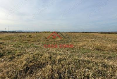 Casă cu Teren 10000 Mp în Băicoi - 6