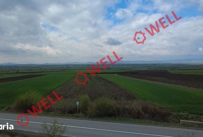Teren de 5000 mp, în Ozun - 4