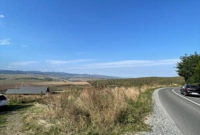 Teren de 2200 mp, în Ciurila - 4