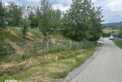 Teren de 3100 mp, în Feleacu - 2