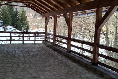 Casă cu 6 camere cu Teren 3884 Mp în Plaiul Foii - 1