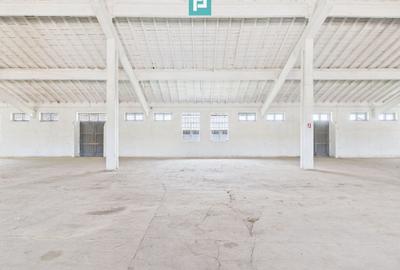 Spațiu industrial, de 1,800 mp, în Teiu - 7