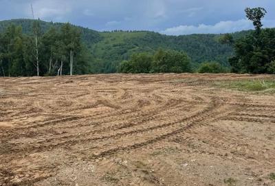 Teren de 2000 mp, în Bună Ziua