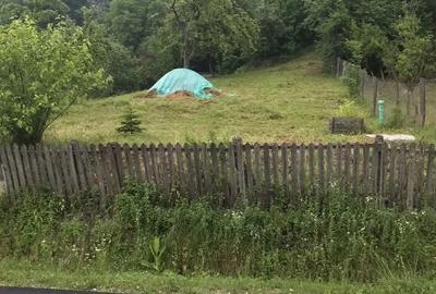 Teren de 1000 mp, în Băbana - 3