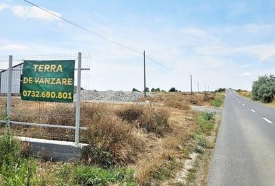 Teren Construcții intravilan de 3000 mp, în Vest - 2