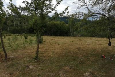 Teren de 20000 mp, în Ciucea - 2