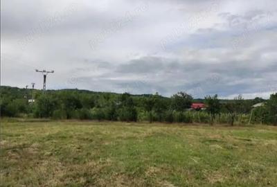 Teren de 6600 mp, în Pietroasele - 1