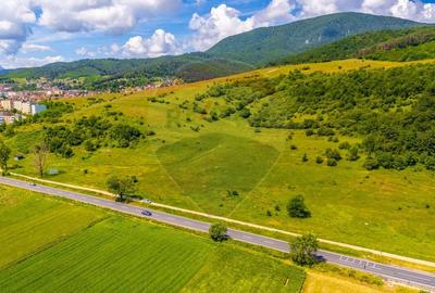 Teren agricol extravilan de 24911 mp, în Nord - 1