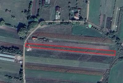 Teren de 1600 mp, în Prejmer - 2