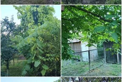 Casă cu 4 camere în Ilișua