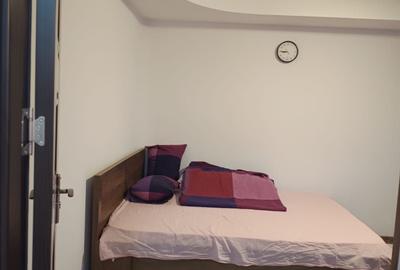 Garsonieră decomandată în Brazda lui Novac - 8