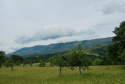 Teren de 60000 mp, în Cornea - 3