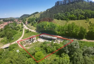 Teren Construcții intravilan de 3312 mp, în Criș - 3