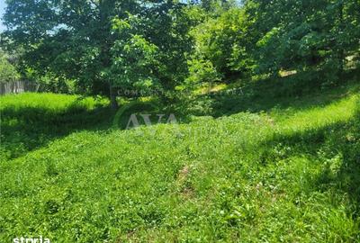 Teren de 960 mp, în Hemeiuș - 4