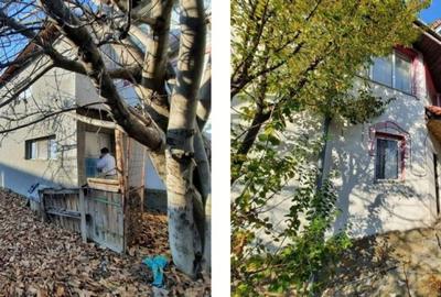 Casă cu 14 camere cu Canalizare în Dorobanți 1 - 7
