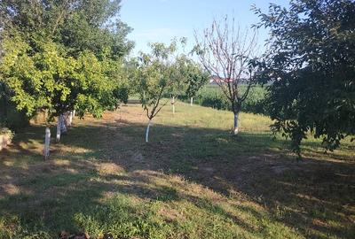 Casă individuală cu 4 camere cu Teren 1200 Mp în Crevedia - 1