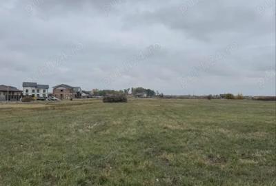 Teren Construcții intravilan de 666 mp, în Moșnița Nouă - 4