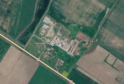 Teren de 3500 mp, în Siliștea