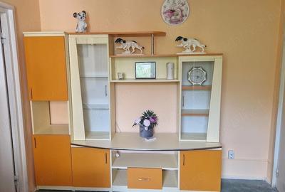 Apartament cu 2 camere semidecomandat în Rogerius