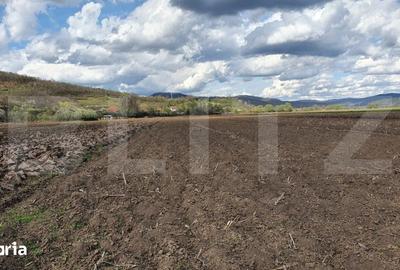 Teren de 4300 mp, în Feleacu