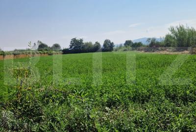 Teren de 3800 mp, în Prejmer