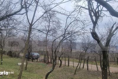 Teren de 3781 mp, în Izvoarele - 13
