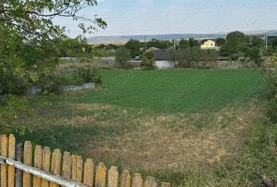 Teren de 1538 mp, în Bălteni - 1