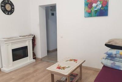 Casă cu 2 camere în Dosu Bricii - 1