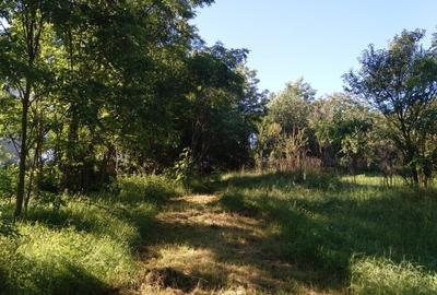 Casă individuală cu 2 camere cu Teren 1750 Mp în Berghin - 13