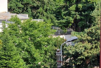 Apartament cu 3 camere decomandat în Arcul de Triumf