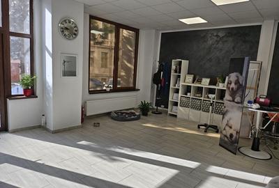 Spațiu comercial, de 57 mp, în Central - 6