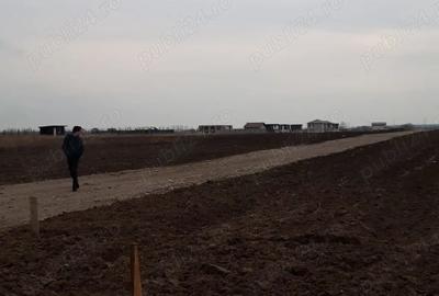 Teren în Berceni