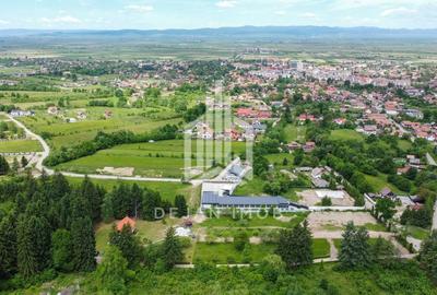 Teren Construcții intravilan de 784 mp, în Sud - 4