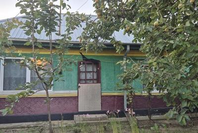 Casă cu 4 camere cu Teren 1400 Mp în Dascălu