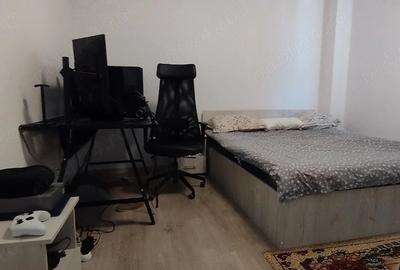 Apartament cu 2 camere semidecomandat în Valea Lupului - 4