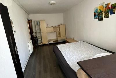 Garsonieră în Dosu Bricii